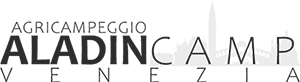 logo icon