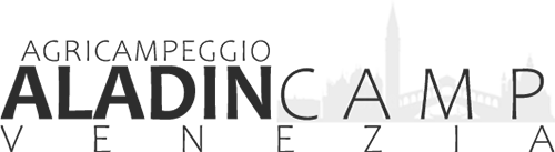 Aladin Camp logo